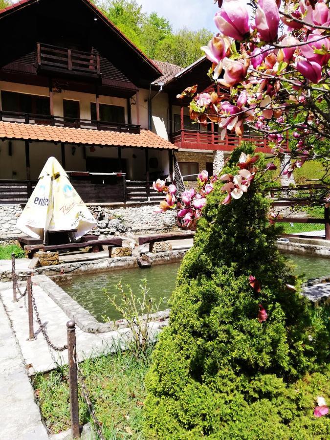 Hanul Vanatorului Gureni Exterior foto